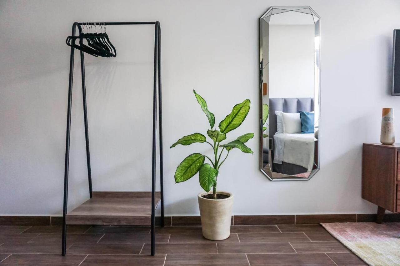 Cozy Studio With Wifi & Netflix Плая дел Кармен Екстериор снимка