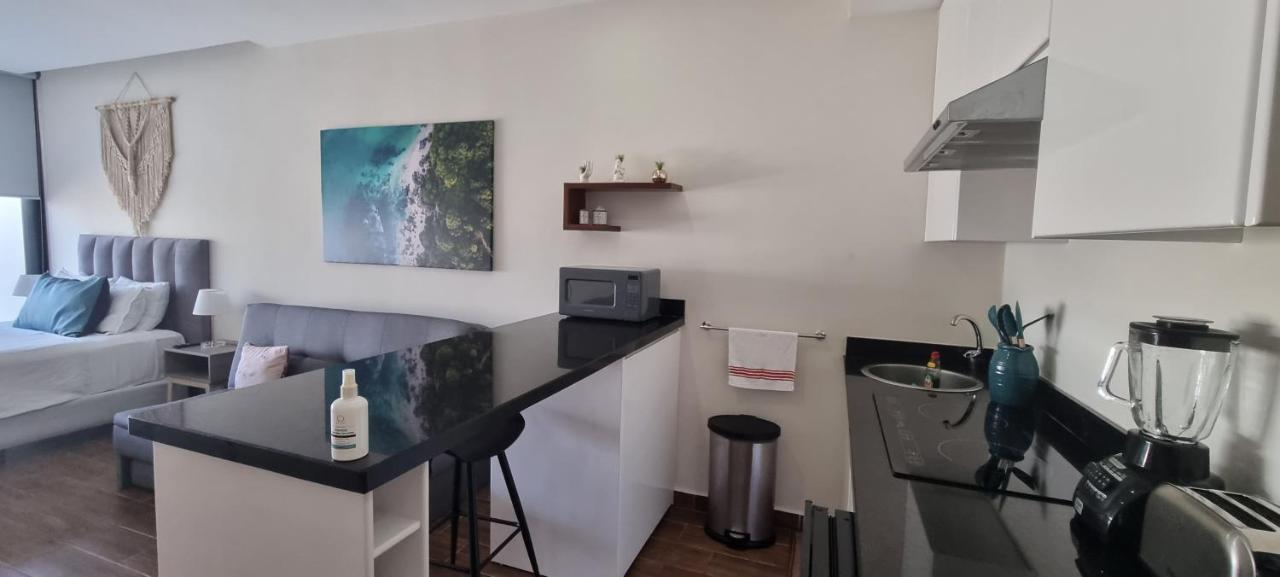Cozy Studio With Wifi & Netflix Плая дел Кармен Екстериор снимка